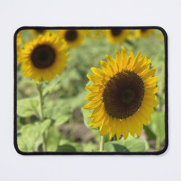 Item preview, Sunflower Field designed and sold by howwefindhappy.