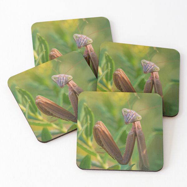 Item preview, My Head Swivels 180 Degrees and I am Watching You designed and sold by dlamb.
