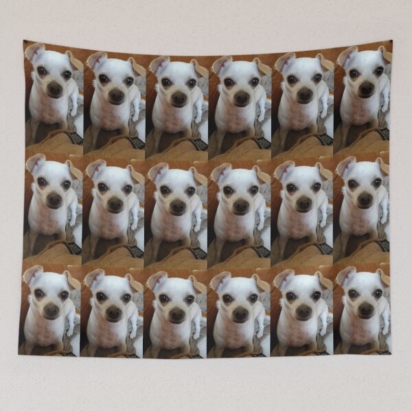 Item preview, Sugar Sugar designed and sold by Princess1222.