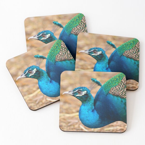 Item preview, Peacock designed and sold by maricelagomez.