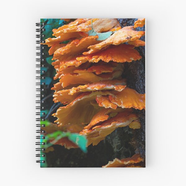 Item preview, Bracket Fungus designed and sold by hermosaman.