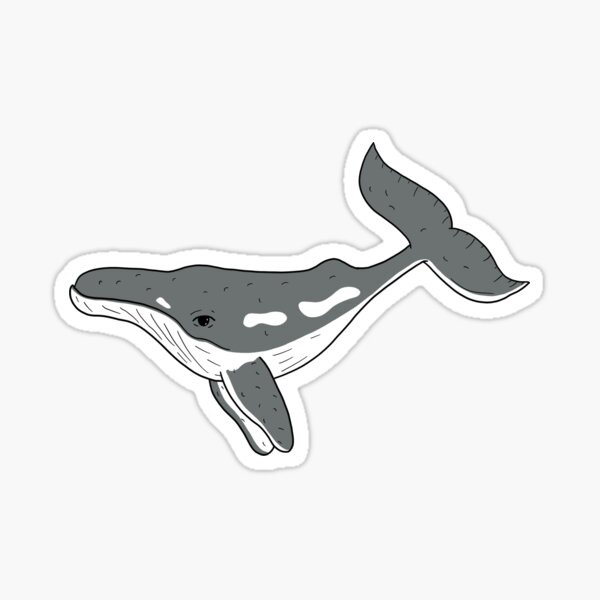 Whale of a Time Sticker