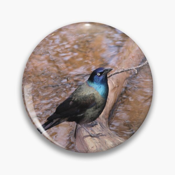 Item preview, Grackle designed and sold by PhyllisG-Art.
