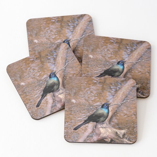 Item preview, Grackle designed and sold by PhyllisG-Art.