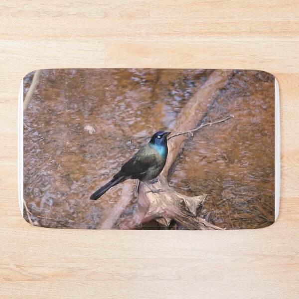 Item preview, Grackle designed and sold by PhyllisG-Art.