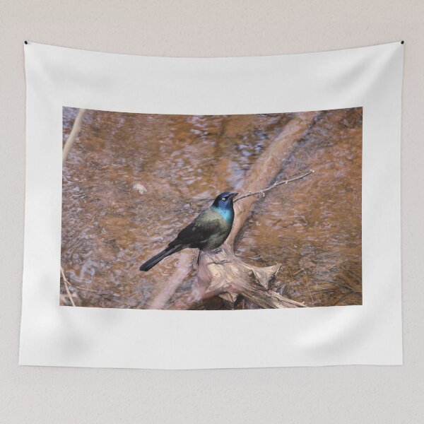 Item preview, Grackle designed and sold by PhyllisG-Art.