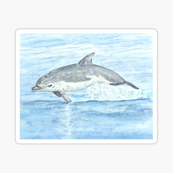 Burrunan Dolphin Watercolour Sticker