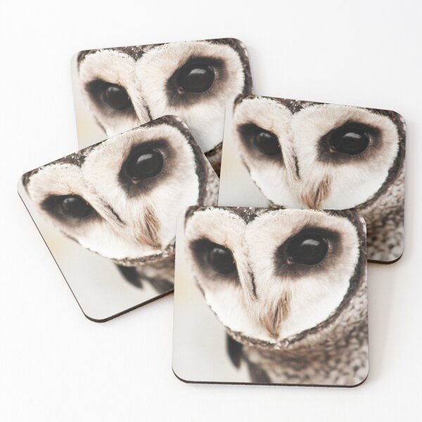 Item preview, The Hunter Lesser Sooty Owl designed and sold by maricelagomez.
