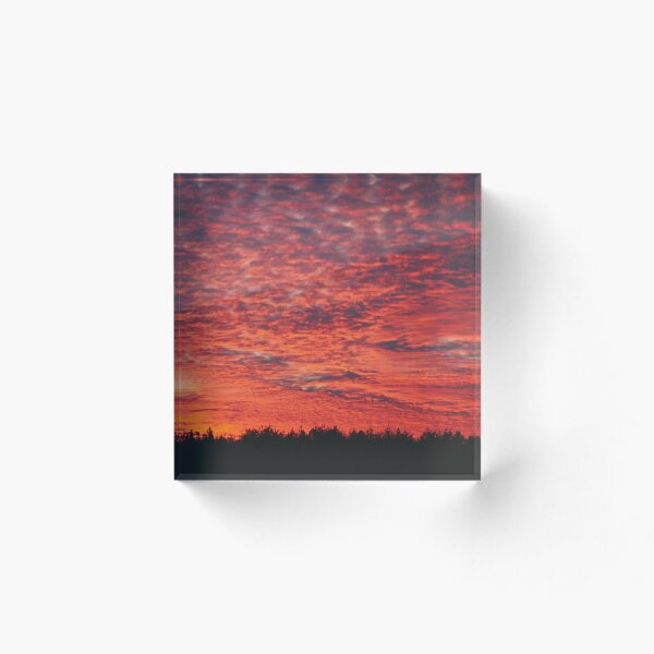 Item preview.