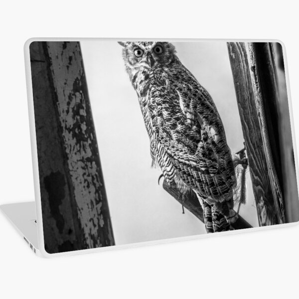 What's that? - BW Laptop Skin