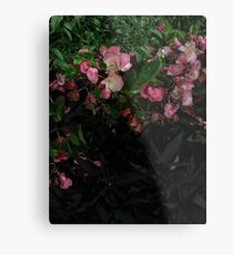 Pedals Metal Print