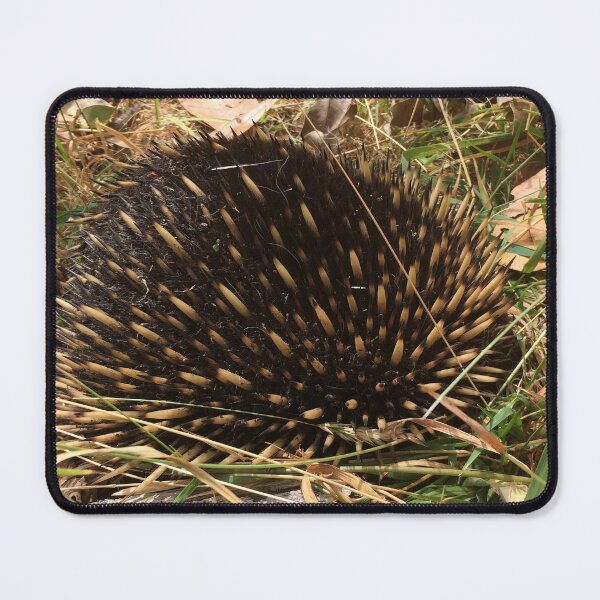 Item preview, Hidden Treasures: Echidna Digging in the Grass designed and sold by Paul Yeatman.