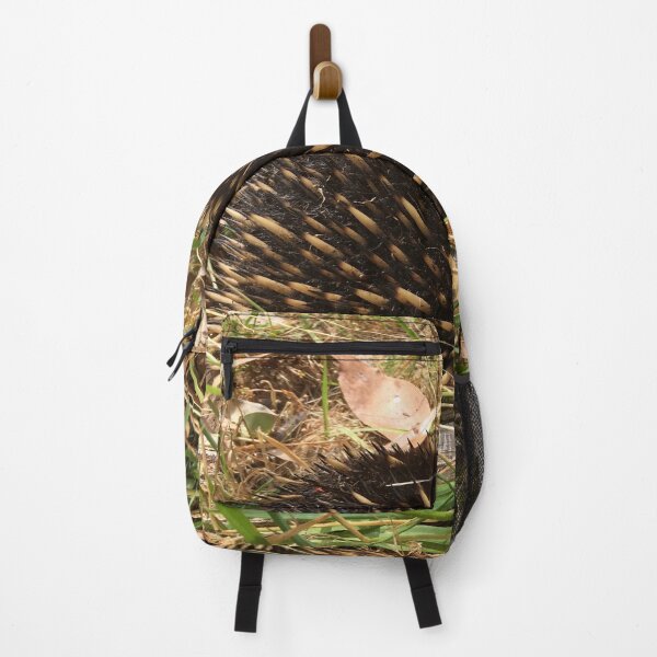 Item preview, Hidden Treasures: Echidna Digging in the Grass designed and sold by Paul Yeatman.