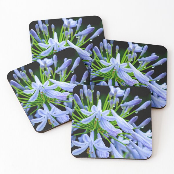Item preview, Agapanthus designed and sold by Lauviahsdesign.