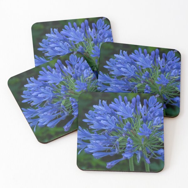 Item preview, Agapanthus designed and sold by Lauviahsdesign.