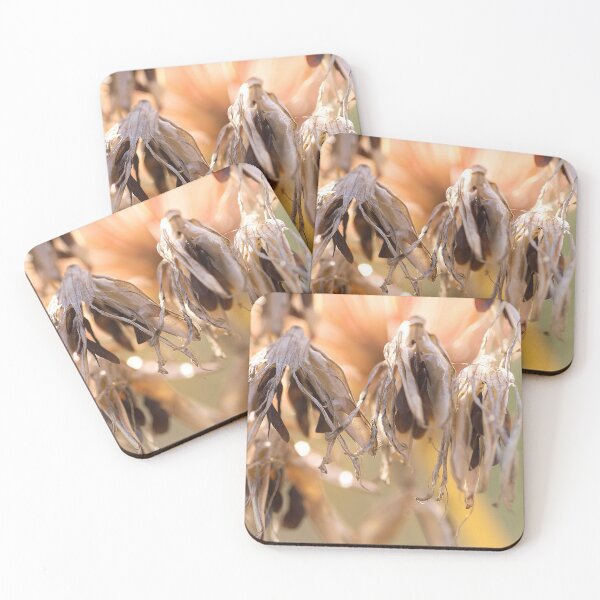 Item preview, Agapanthus designed and sold by Lauviahsdesign.