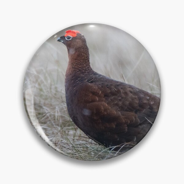 Item preview, grouse designed and sold by tammy mellor.