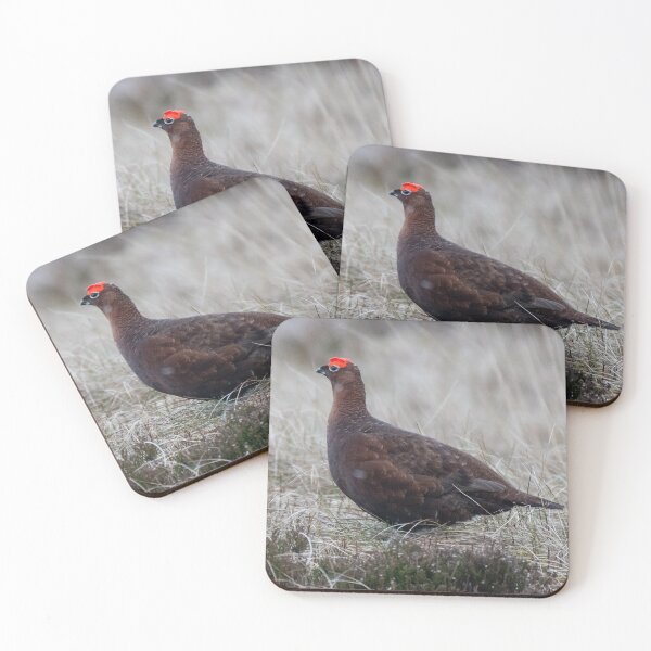 Item preview, grouse designed and sold by tammy mellor.