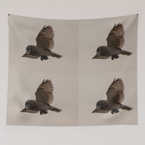 Item preview, short eared owl designed and sold by tammy mellor.
