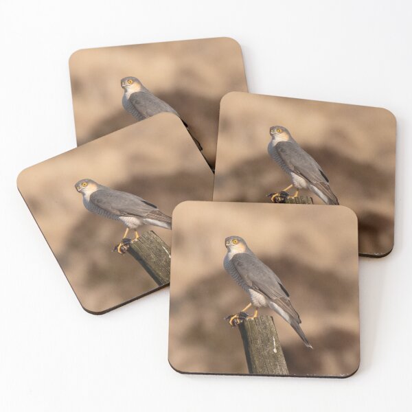 Item preview, sparrow hawk designed and sold by tammy mellor.