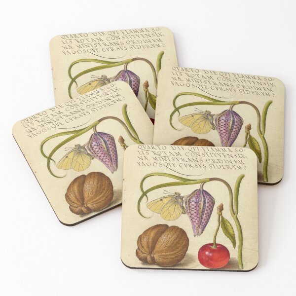 Item preview, Naturalist Manuscript: Flowers, Butterfly, Fruits, and Calligraphy Illumination by Joris Hoefnagel designed and sold by Naturalist Prints.