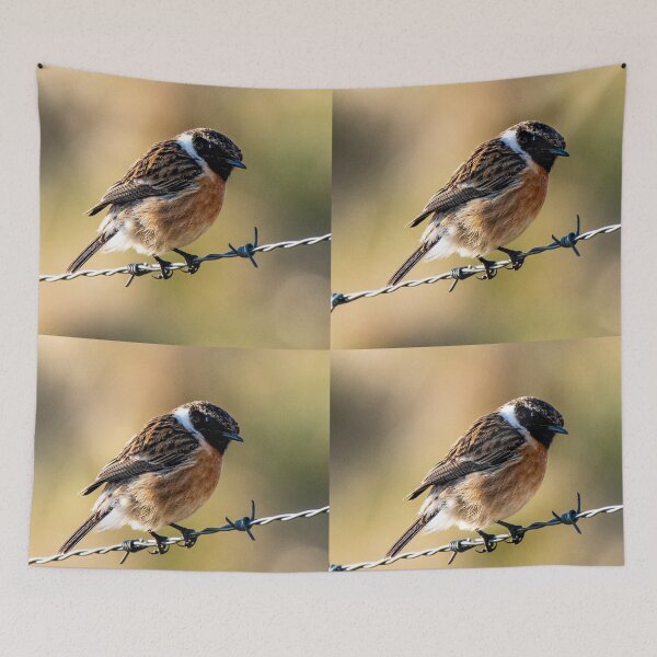 Item preview, stonechat designed and sold by tammy mellor.