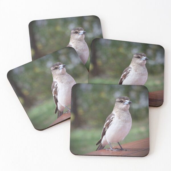 Item preview, Grey Butcherbird  designed and sold by MargsNaturePix.