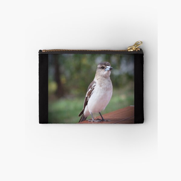 Item preview, Grey Butcherbird  designed and sold by MargsNaturePix.