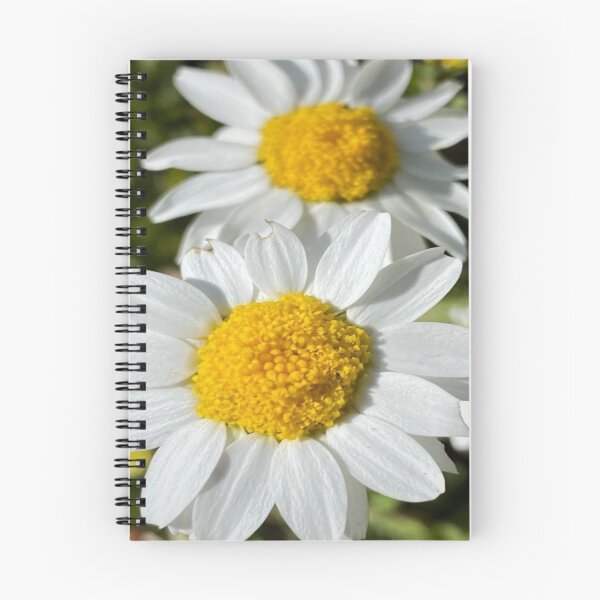 Item preview, White Daisies designed and sold by Amanda JK.