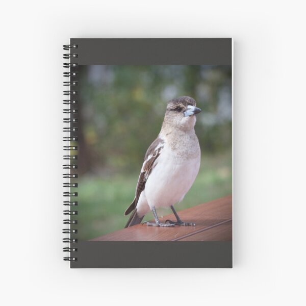 Item preview, Grey Butcherbird  designed and sold by MargsNaturePix.