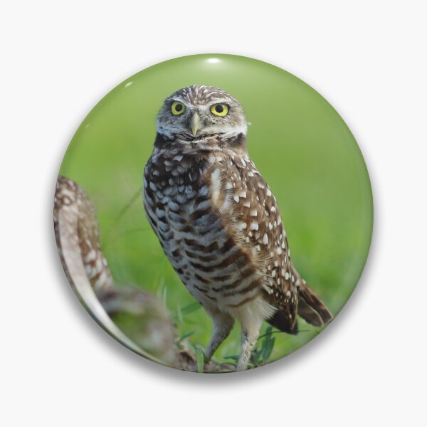 Item preview, Burrowing Owls designed and sold by BlauesSternWolf.