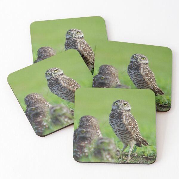 Item preview, Burrowing Owls designed and sold by BlauesSternWolf.