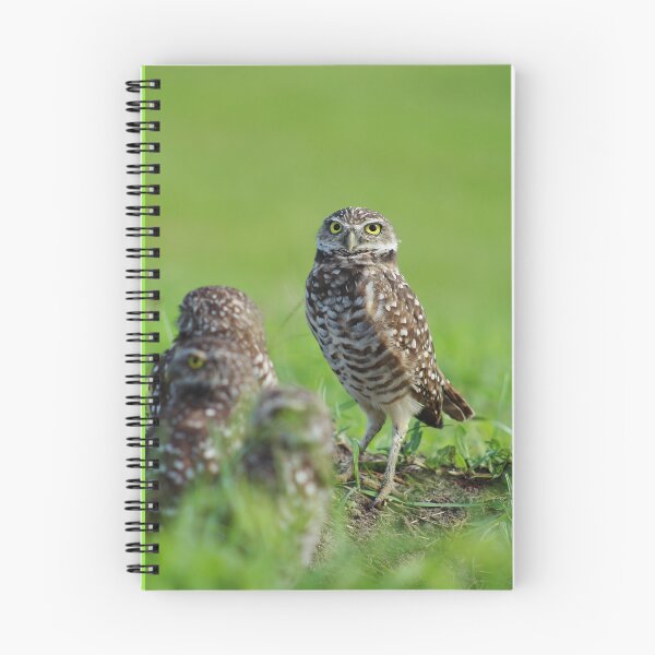 Item preview, Burrowing Owls designed and sold by BlauesSternWolf.