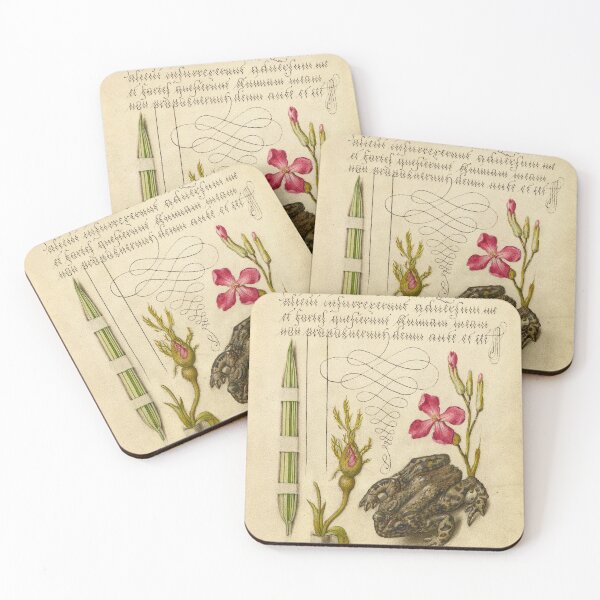 Item preview, Naturalist Manuscript: Flowers, Frog and Calligraphy Illumination by Joris Hoefnagel designed and sold by Naturalist Prints.
