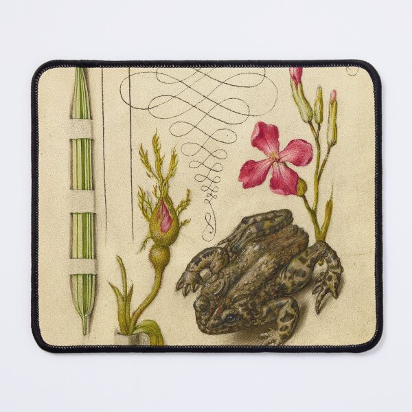 Item preview, Naturalist Manuscript: Flowers, Frog and Calligraphy Illumination by Joris Hoefnagel designed and sold by Naturalist Prints.