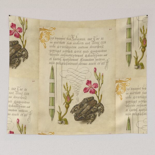 Item preview, Naturalist Manuscript: Flowers, Frog and Calligraphy Illumination by Joris Hoefnagel designed and sold by Naturalist Prints.