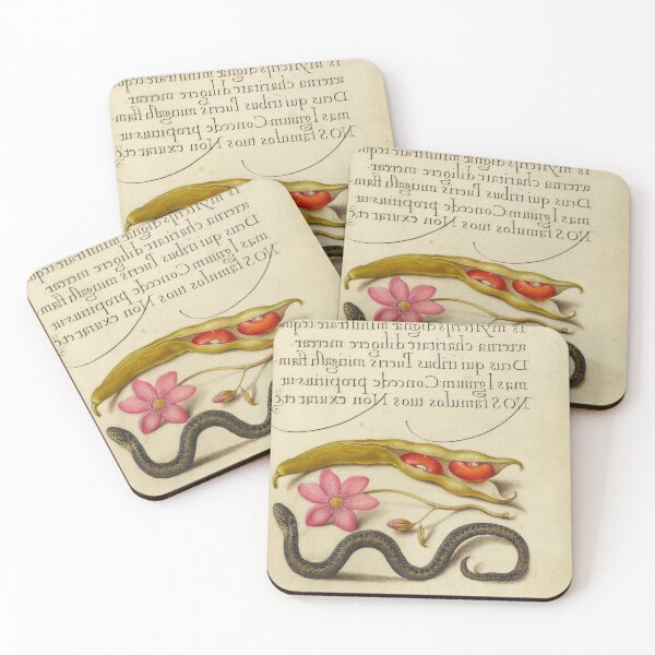 Item preview, Naturalist Manuscript: Flowers, Animal, Vegetables and Calligraphy Illumination - Kidney Bean, Poppy Anemone, and Adder by Joris Hoefnagel designed and sold by Naturalist Prints.