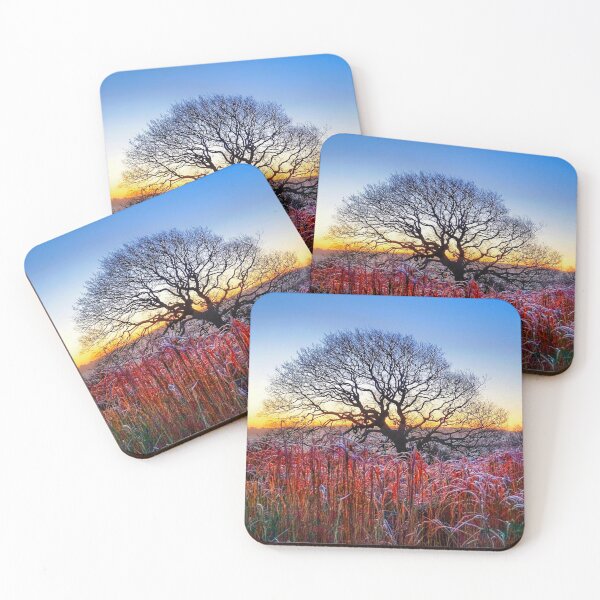 Item preview, Winter Oak Sunrise  designed and sold by Alisonchambers2.