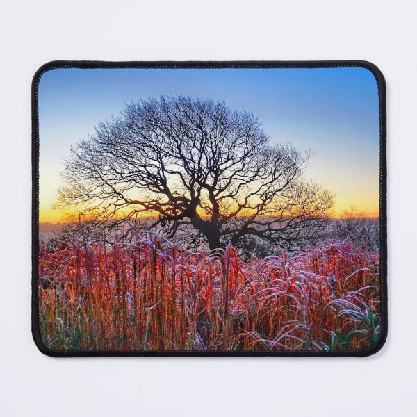 Item preview, Winter Oak Sunrise  designed and sold by Alisonchambers2.