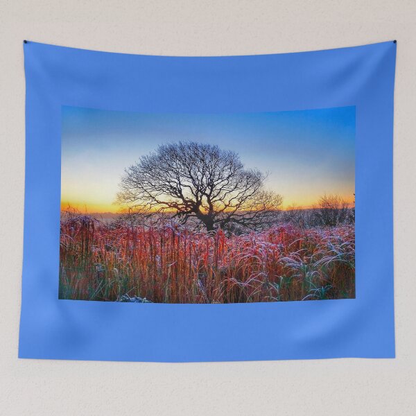 Item preview, Winter Oak Sunrise  designed and sold by Alisonchambers2.