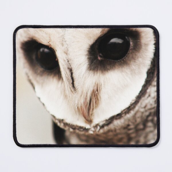 Item preview, The Hunter Lesser Sooty Owl designed and sold by maricelagomez.
