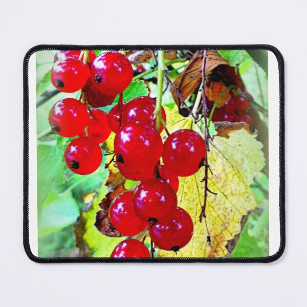 Item preview, Red ripe berries designed and sold by angel1.