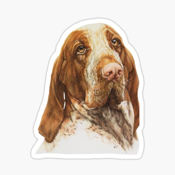 Multiple Colors Available Proud Parent Of A Bracco Italiano Dog Vinyl Decal Sticker
