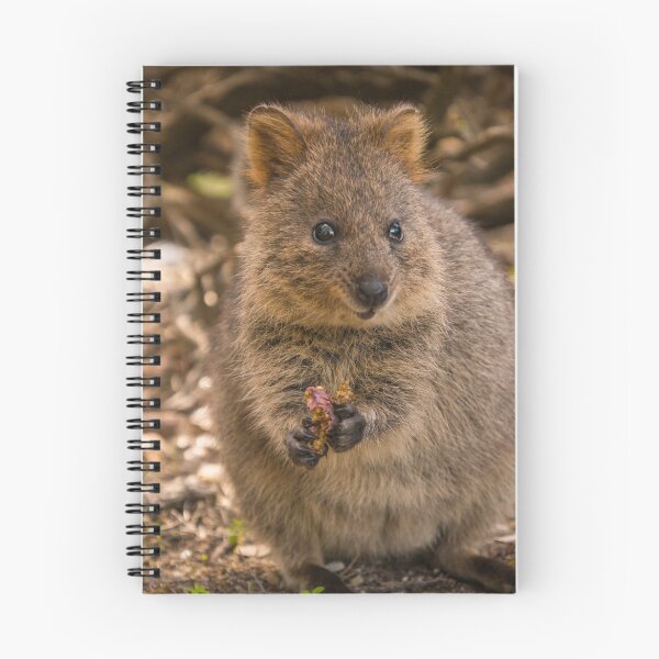 Item preview, Happy Quokka designed and sold by antonium.