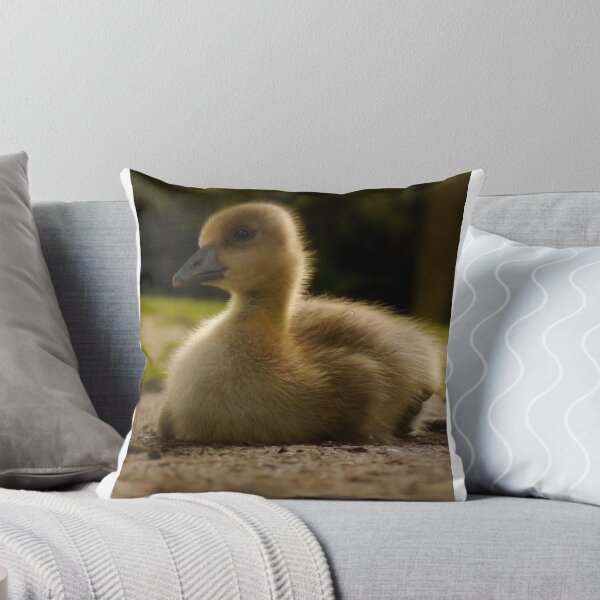 Item preview, Duckling designed and sold by WillBov.