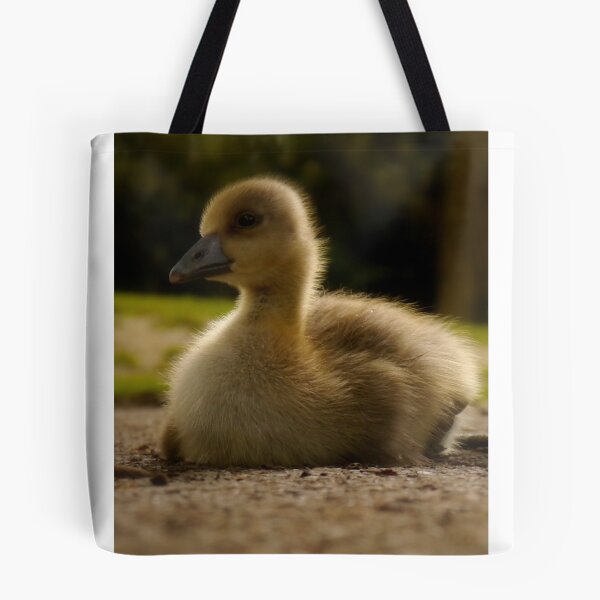 Item preview, Duckling designed and sold by WillBov.