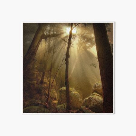 Item preview, Late afternoon, Mount Buffalo designed and sold by Kevin McGennan.