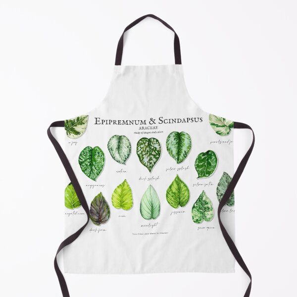 Item preview, Epipremnum & Scindapsus designed and sold by PetitMartin.