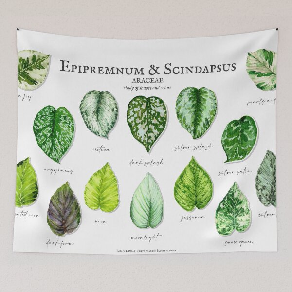 Item preview, Epipremnum & Scindapsus designed and sold by PetitMartin.