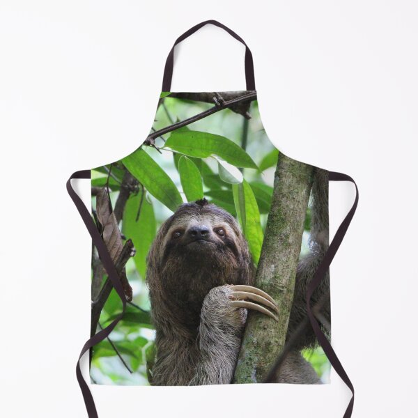 Item preview, Sloth 001 designed and sold by JAMFoto.